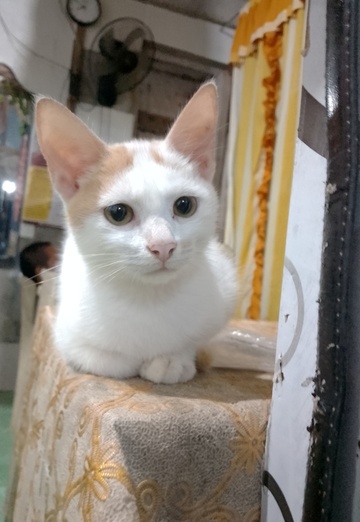 Darwin (@darwin175) — my photo № 1