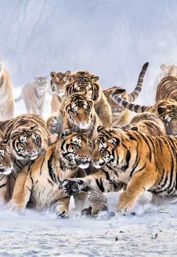 Fanel (@fanel10) — my photo № 2