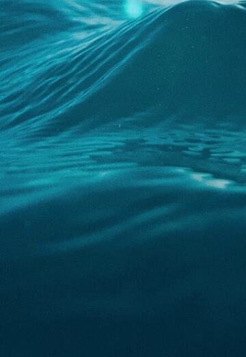 Fanel (@fanel10) — my photo № 1